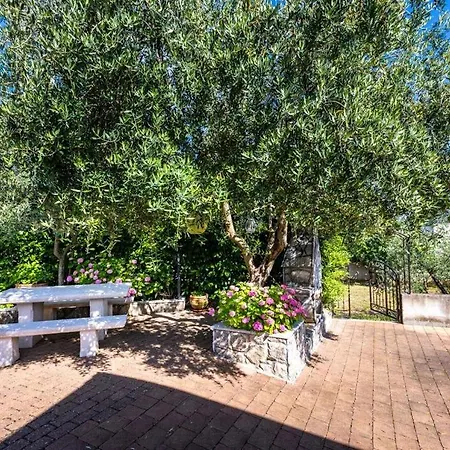 Barjaktaric ゲストハウス