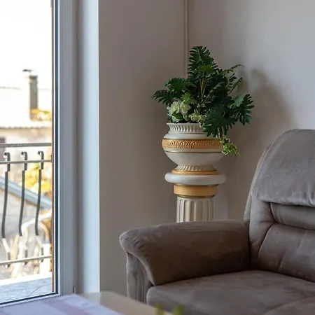 Barjaktaric ゲストハウス 4*