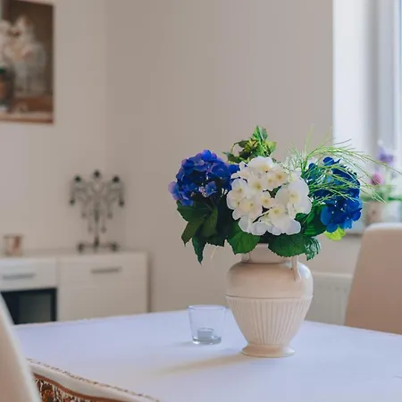 Barjaktaric 4* マリンスカ