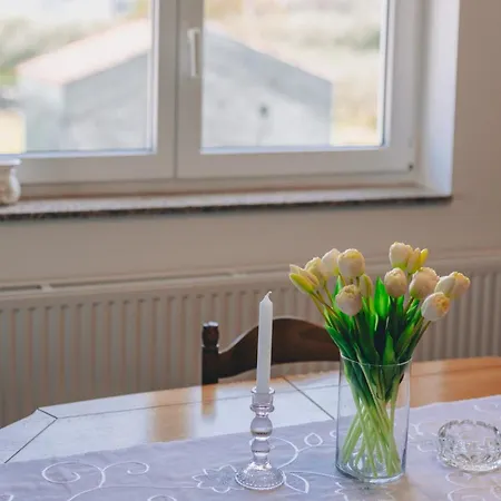 Barjaktaric マリンスカ